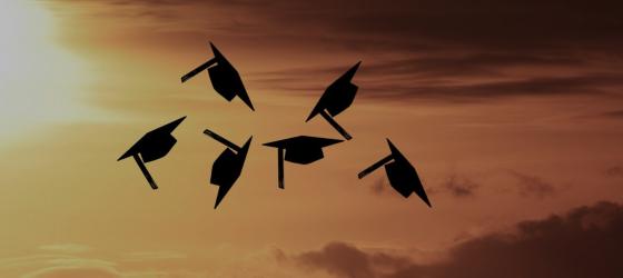 laurea