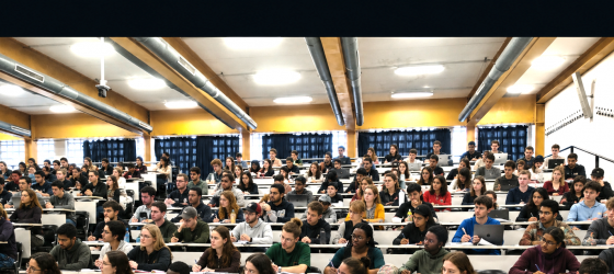 Immagine decorativa, priva di contenuto informativo, rappresenta un'aula con studentesse/studenti che stanno seguendo una lezione